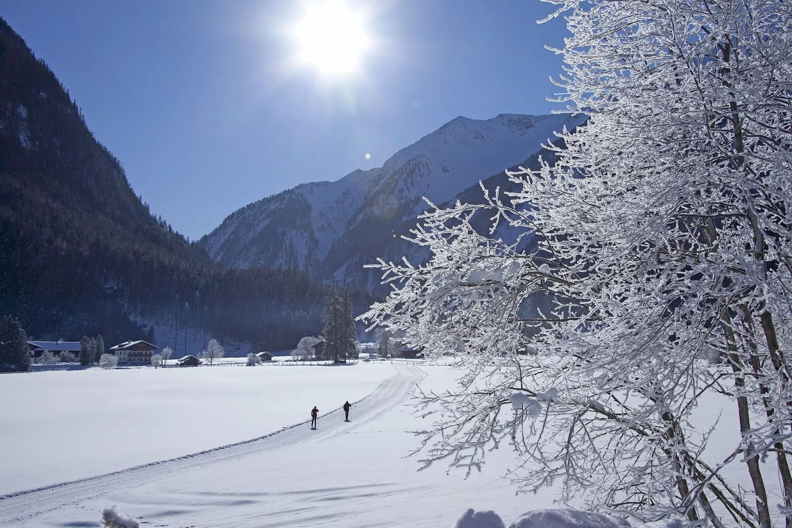 Ferienwohnung Hollaus-Area winter 5km