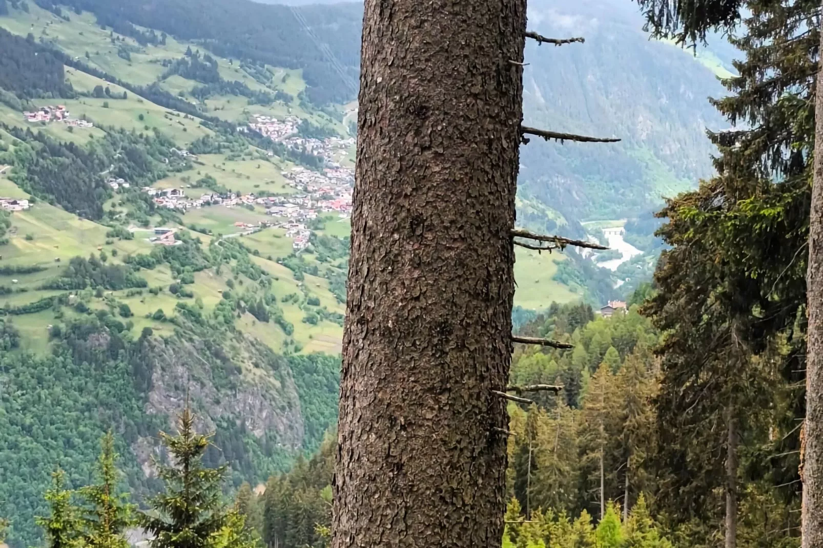 Venetblick-Areas summer 1km