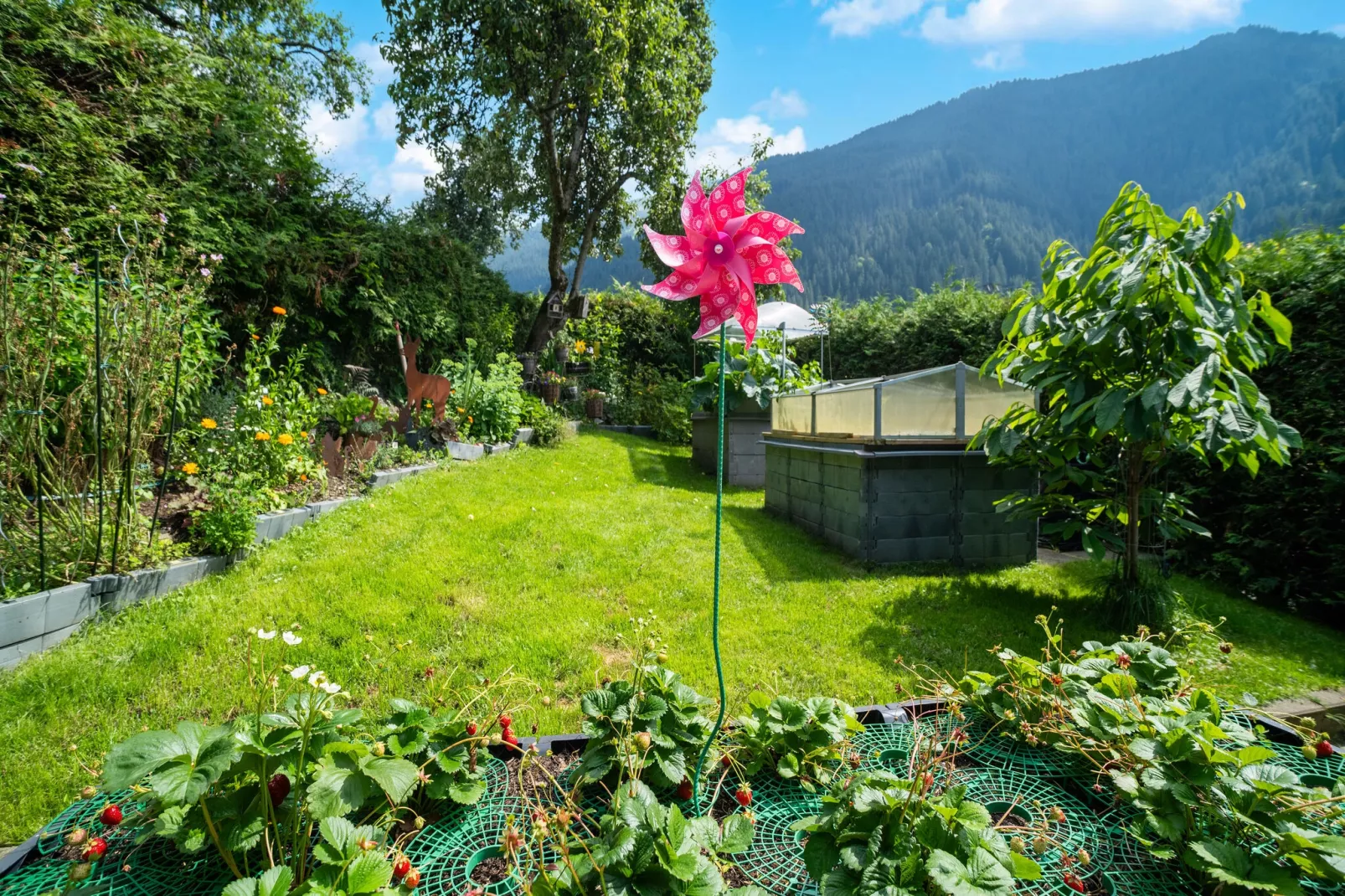 Apartment 2-Gardens summer