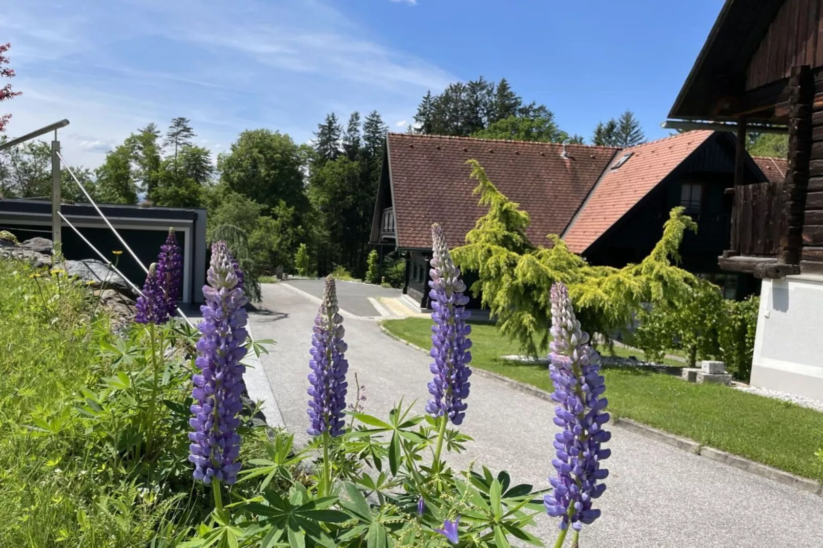 491753-Gardens summer