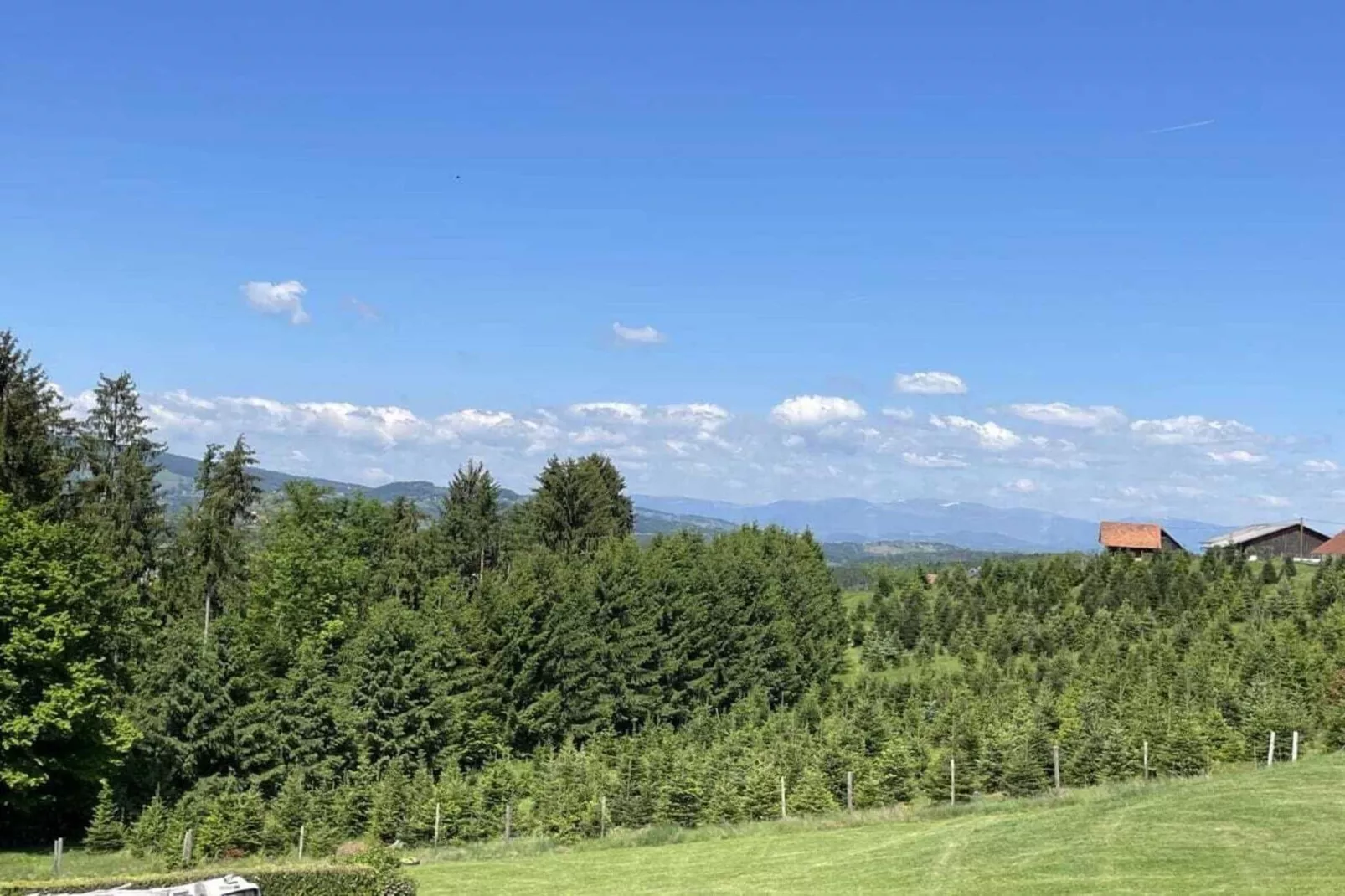 491753-View summer