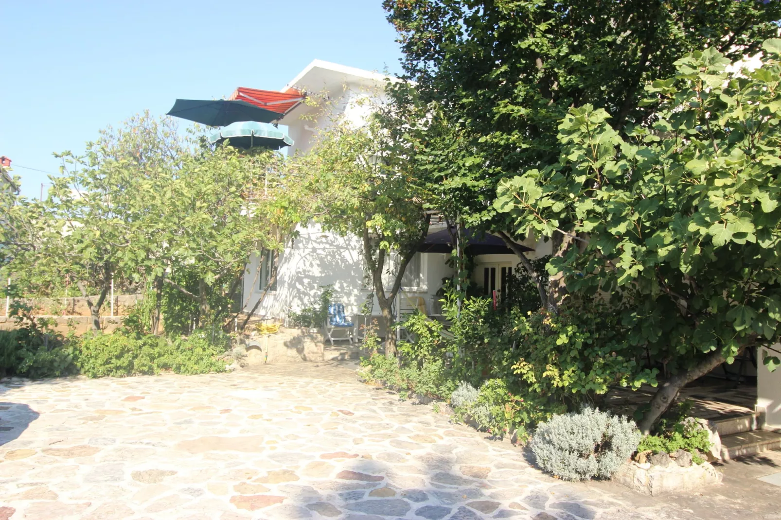 Apartman Doka-Gardens summer