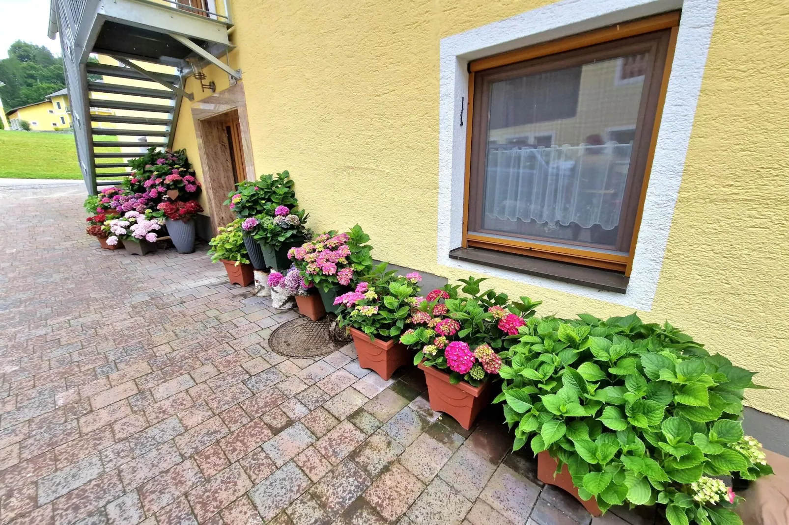 Bettinas Ferienwohnung UG-Gärten Sommer