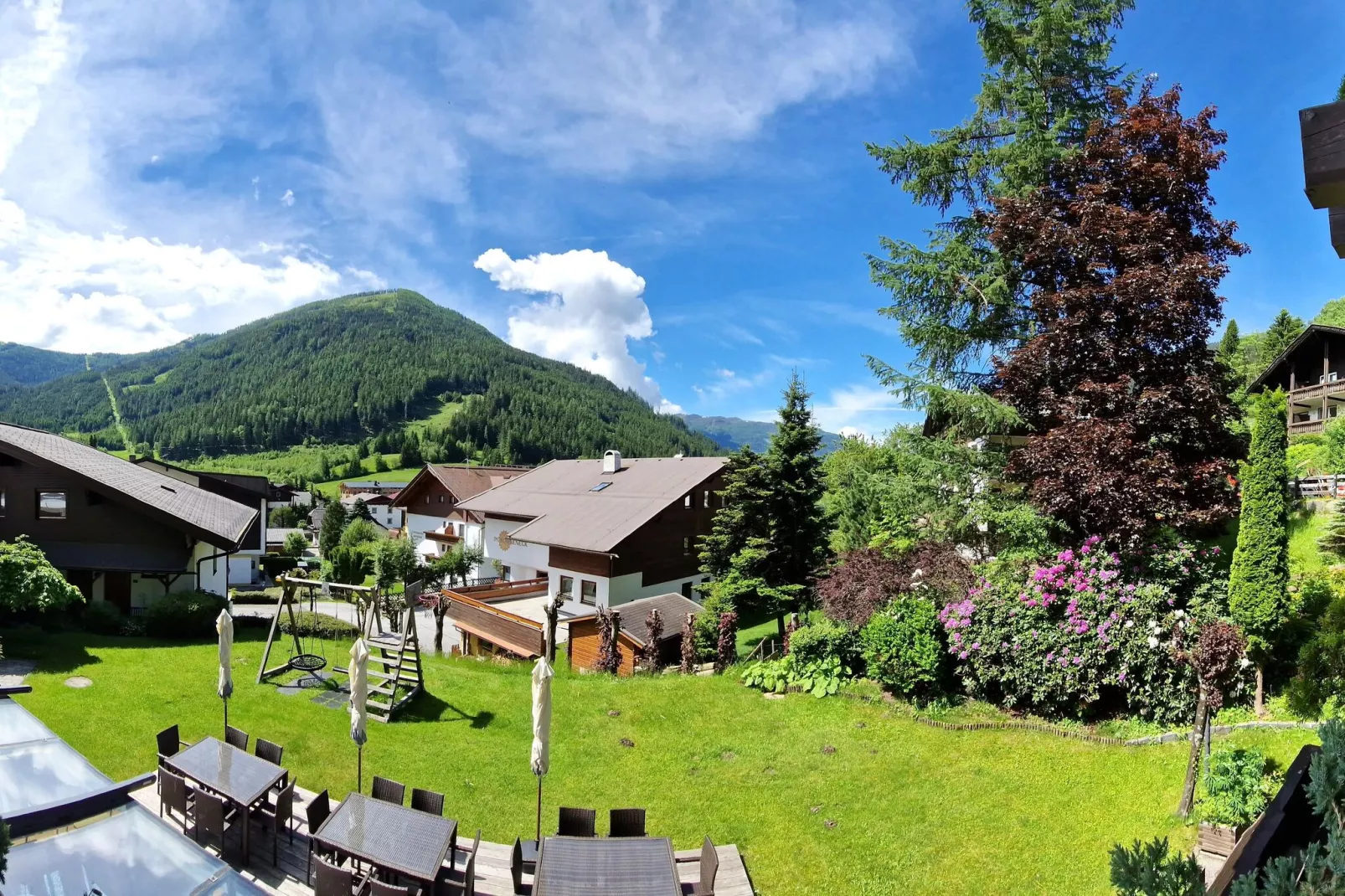 Alpenkatze-View summer