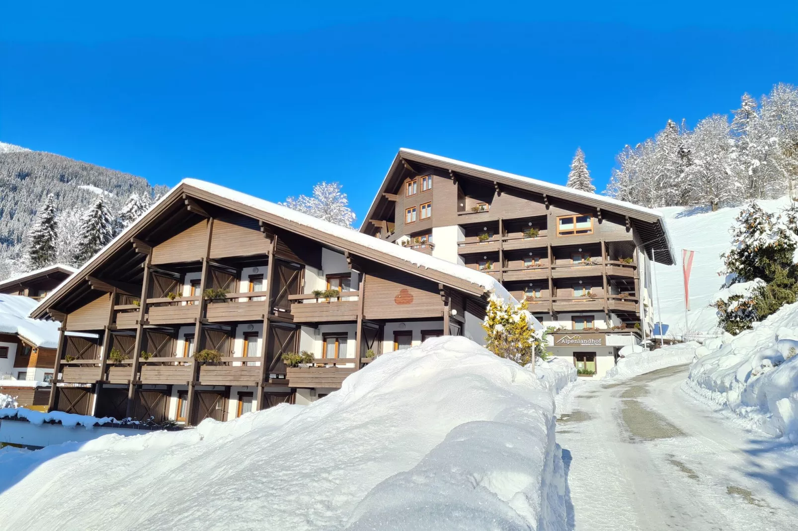 Alpenkatze-Exterior winter