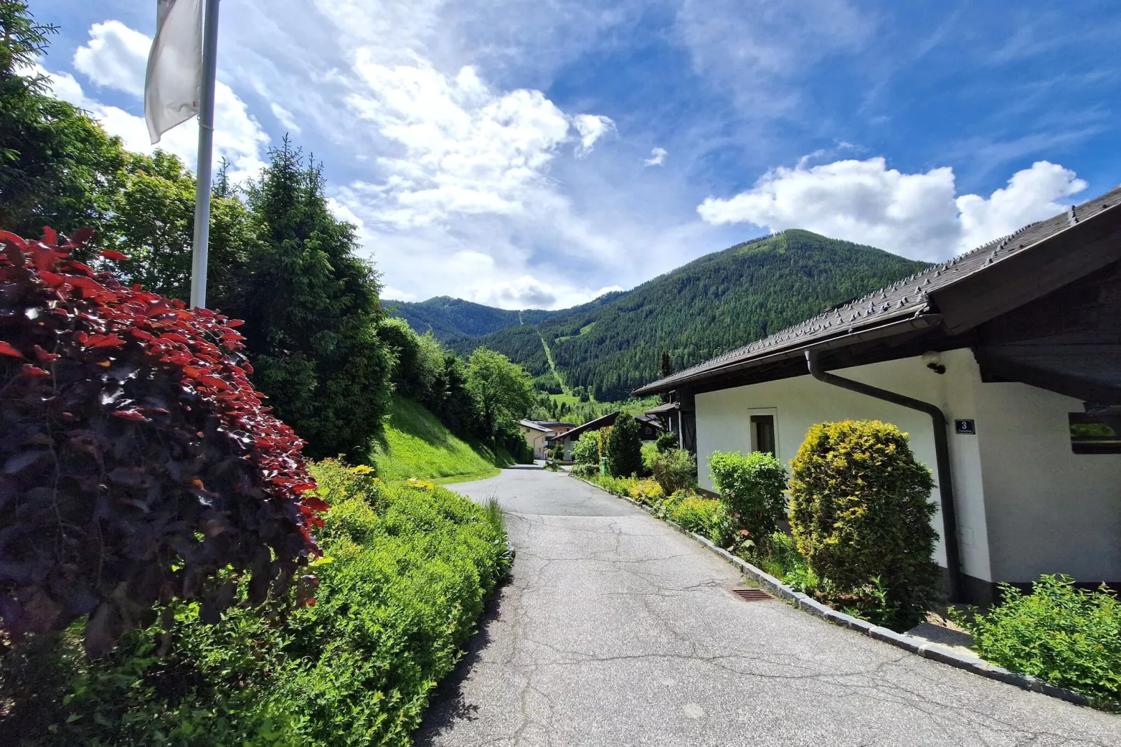 Alpenleben/Alpenhorst-Areas summer 1km