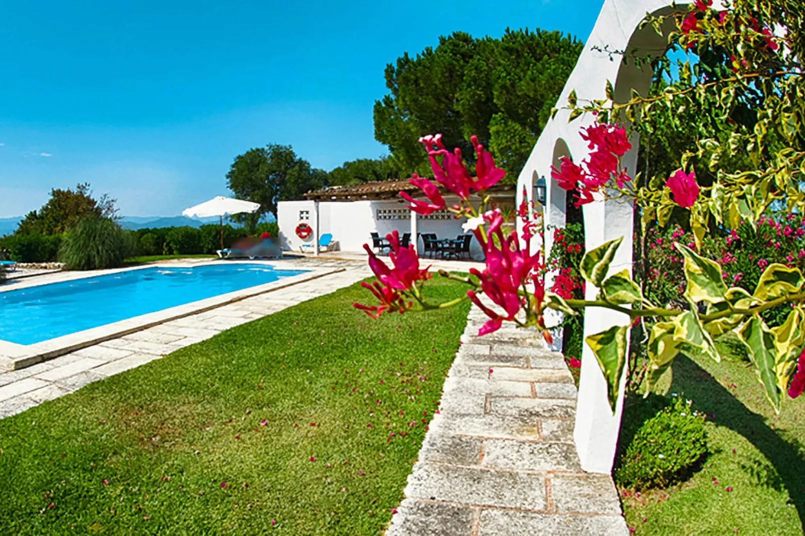 Estudio-(+/-) Estudio-Pool
