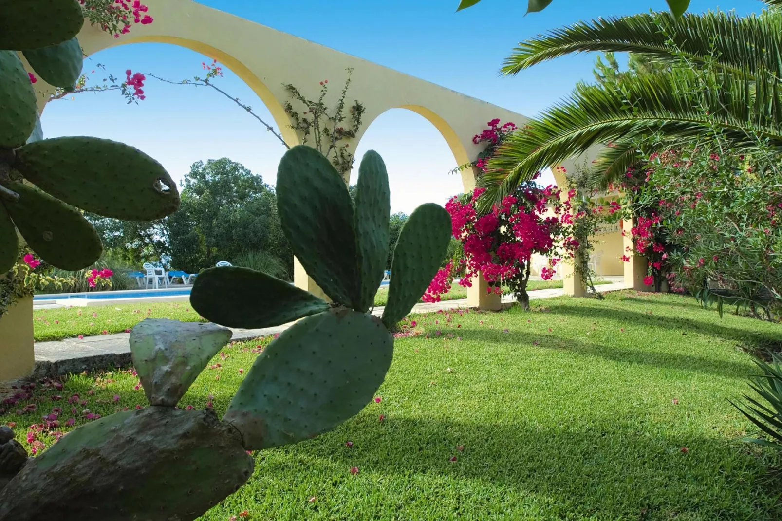 Estudio-(+/-) Estudio-Gardens summer
