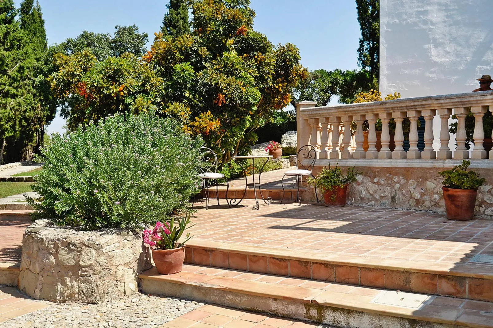 Estudio-(+/-) Estudio-Gardens summer