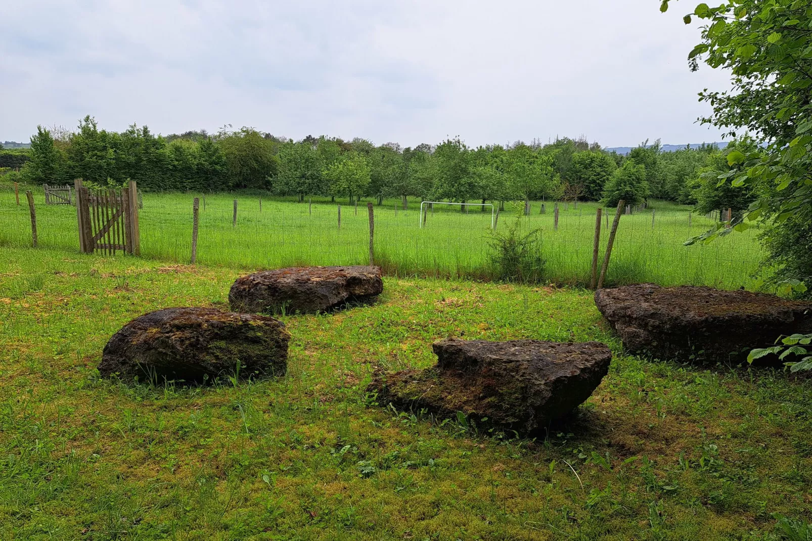 Alatienne-Gardens summer