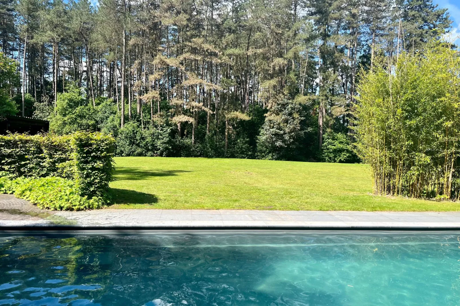 De Rundershoeve-Piscine