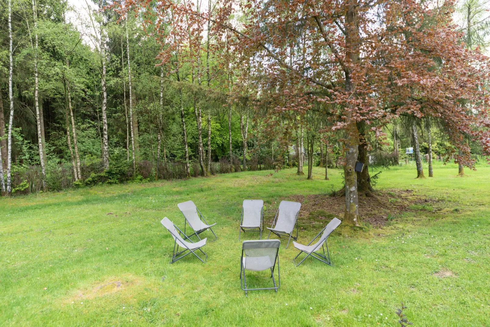 La maison du fagnard-Gardens summer