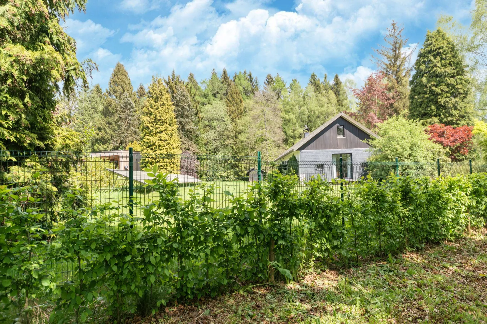 La maison du fagnard-Gardens summer