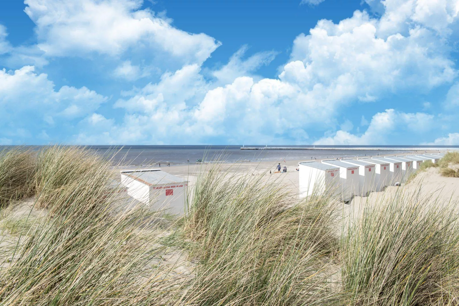 Meiboom 0101-Areas summer 5km