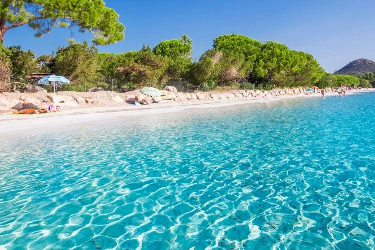 Apartments Aminess Port 9 Residence Korcula-Type C Navis-Areas summer 5km
