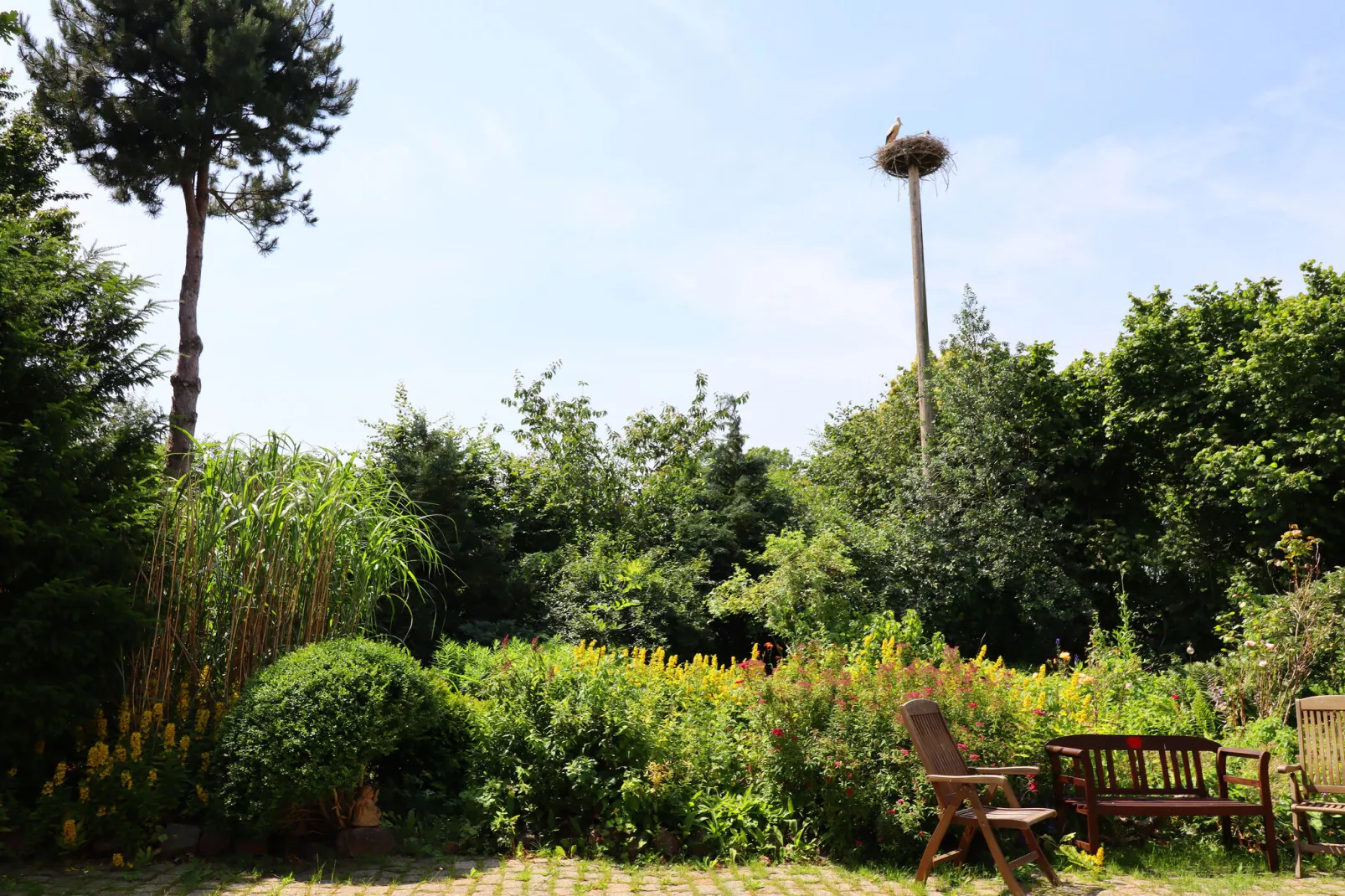 Ferienwohnung Parkblick mit 3 Schlafzimmern-Gardens summer