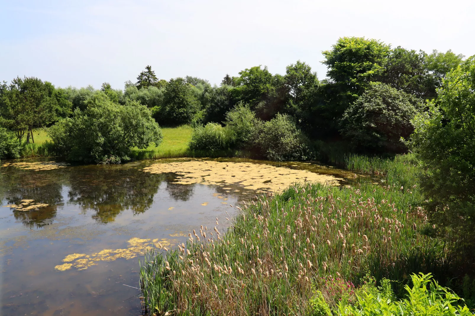 Ferienwohnung Parkblick mit 3 Schlafzimmern-View summer