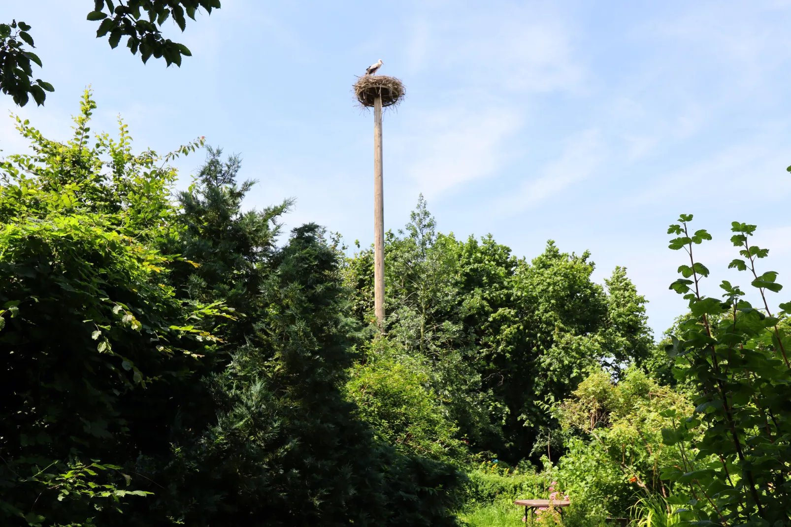 Familienferien Im Heumond  - 2 Schlafzimmer-Gärten Sommer