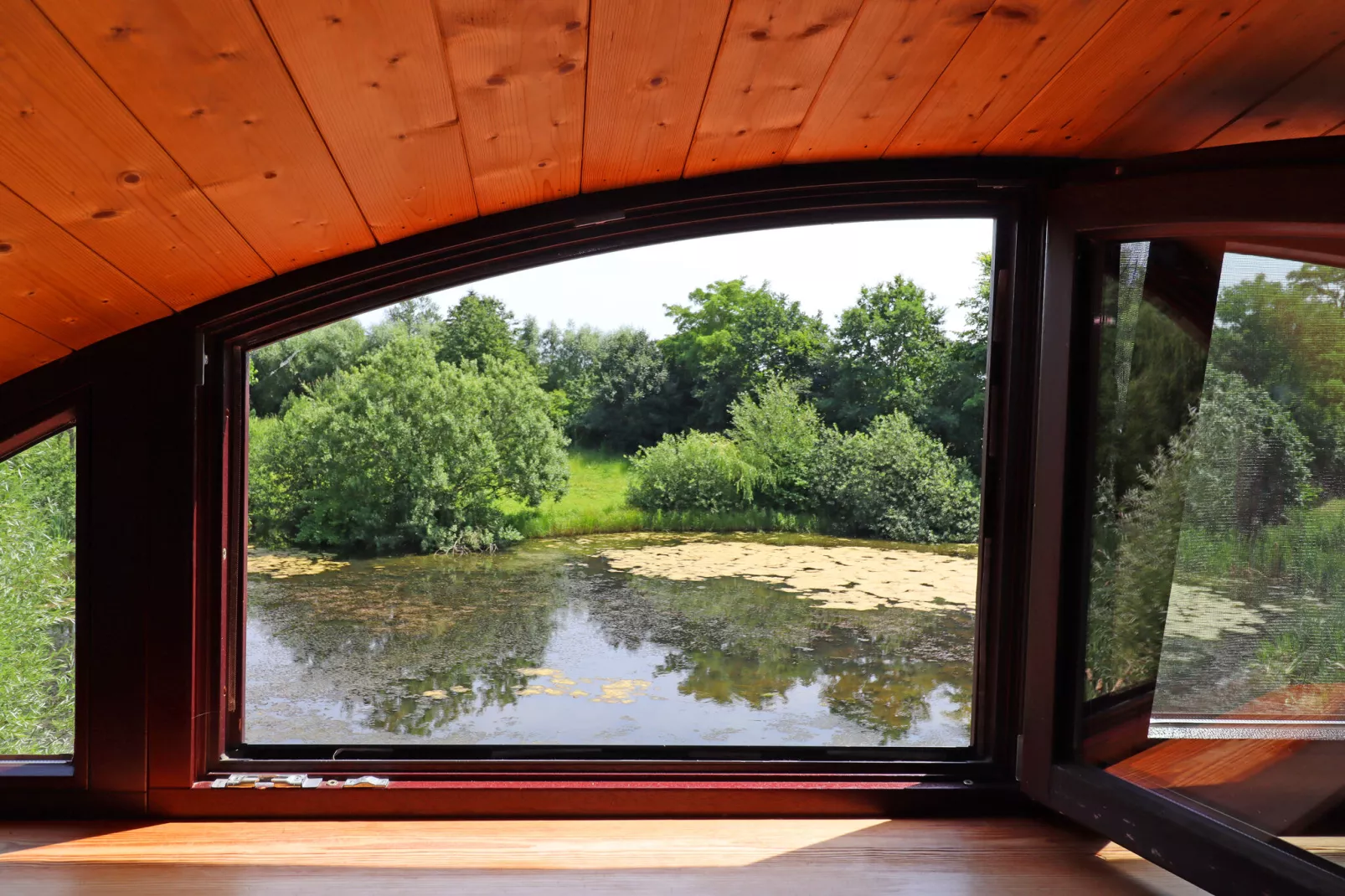 Die Besondere Ferienwohnung Bibliothek-Aussicht Sommer