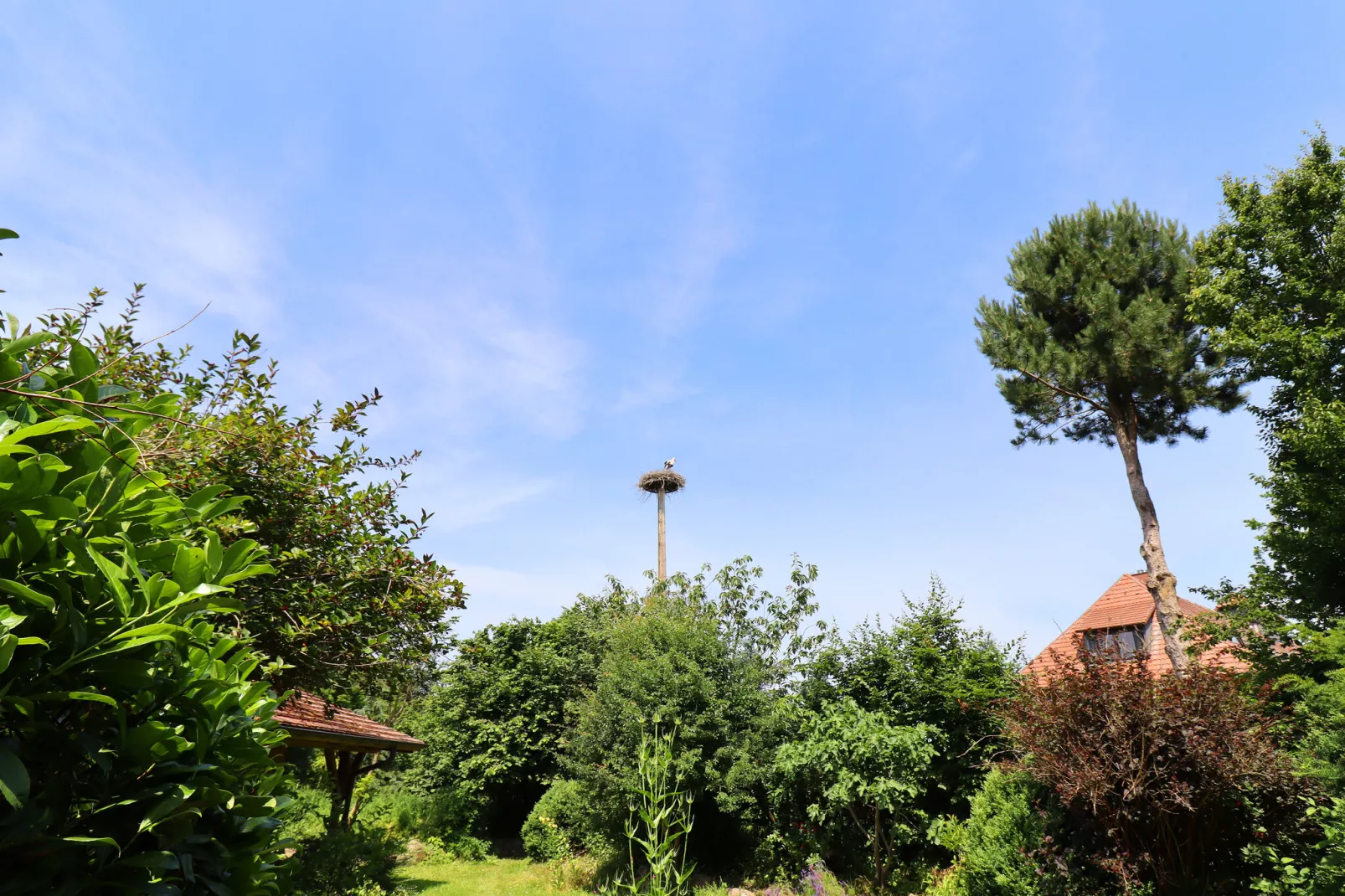 Familienferien mit ganz viel Platz innen und außen XL-Jardin d'été