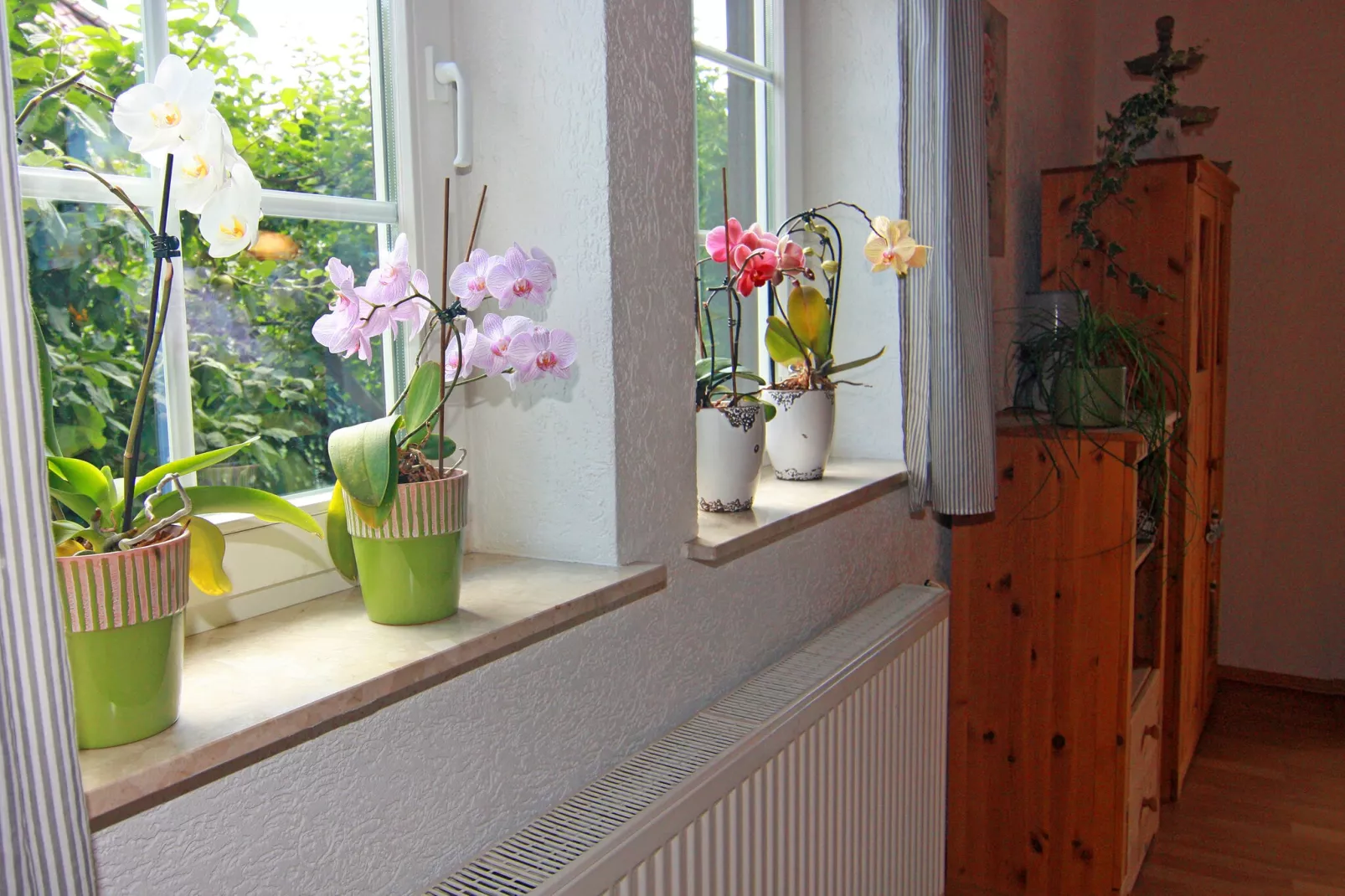 Ferienhaus mit Garten und Terrasse vor Rostock/Warnemünde-Atmosphere