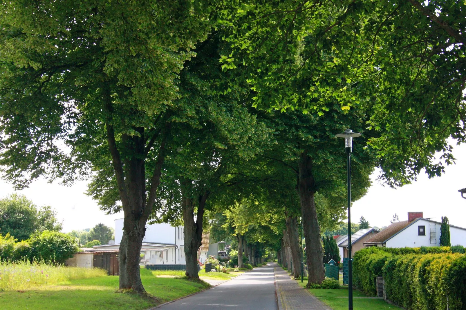 Am Hellbach-Areas summer 1km