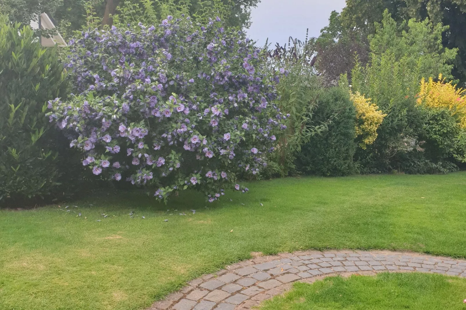 Seeblick-Gardens in summer