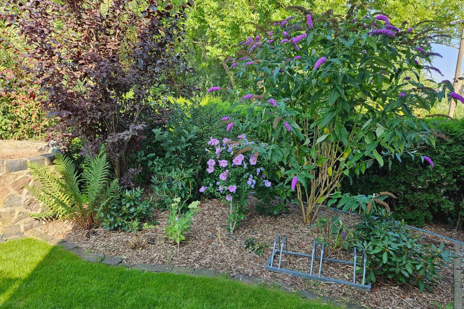 Seeblick-Gardens in summer