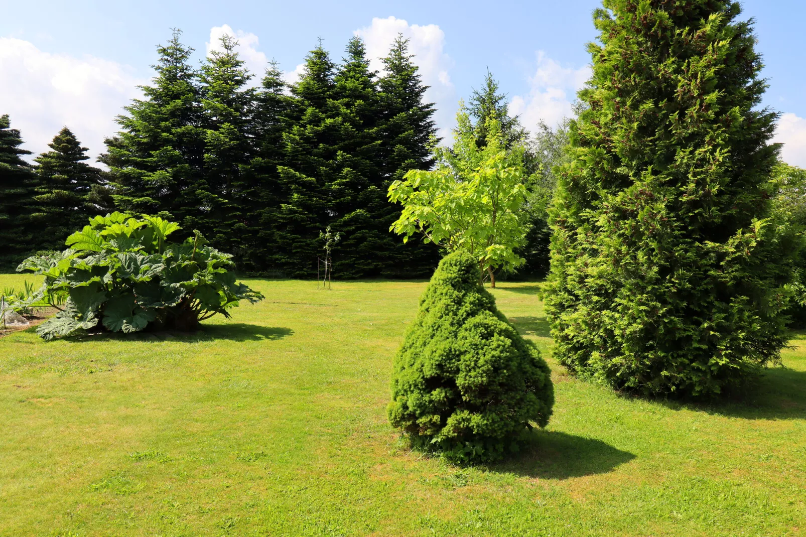 An der Allee-Gardens summer