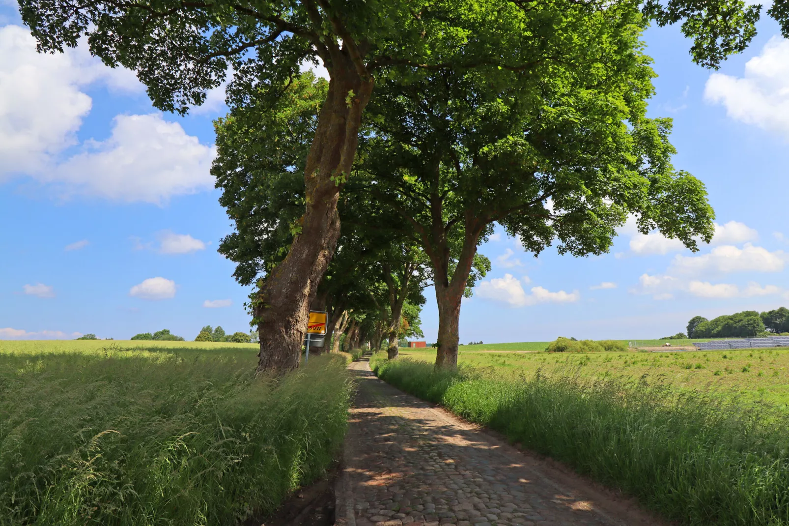 An der Allee-Areas summer 1km