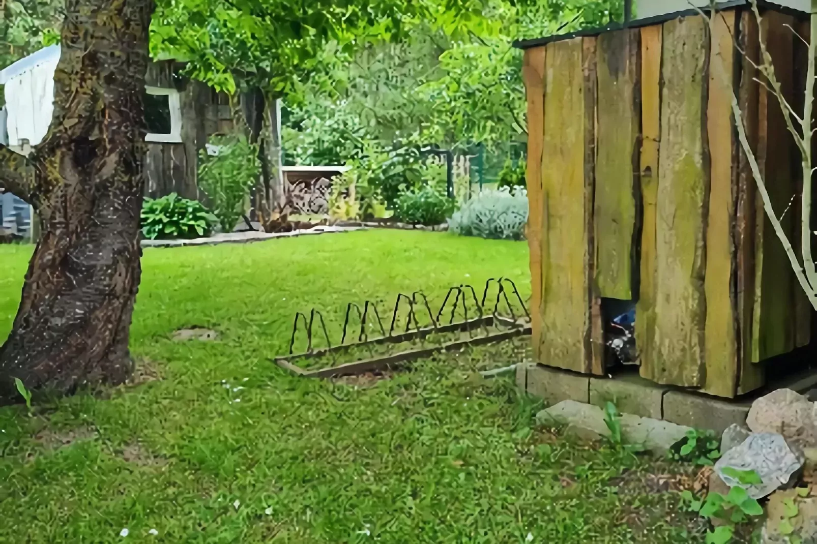 Bungalow Andrea am Salzhaff mit Garten-Gardens summer