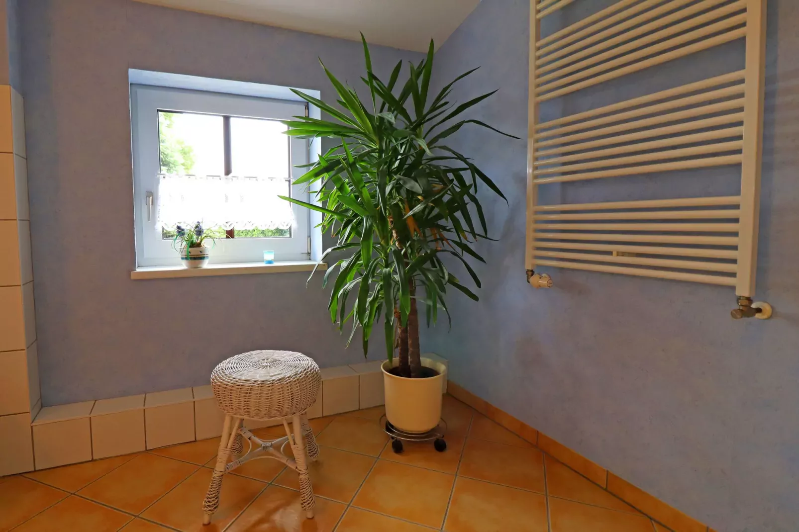 Altes Bauernhaus / Gartenblick-Bathroom