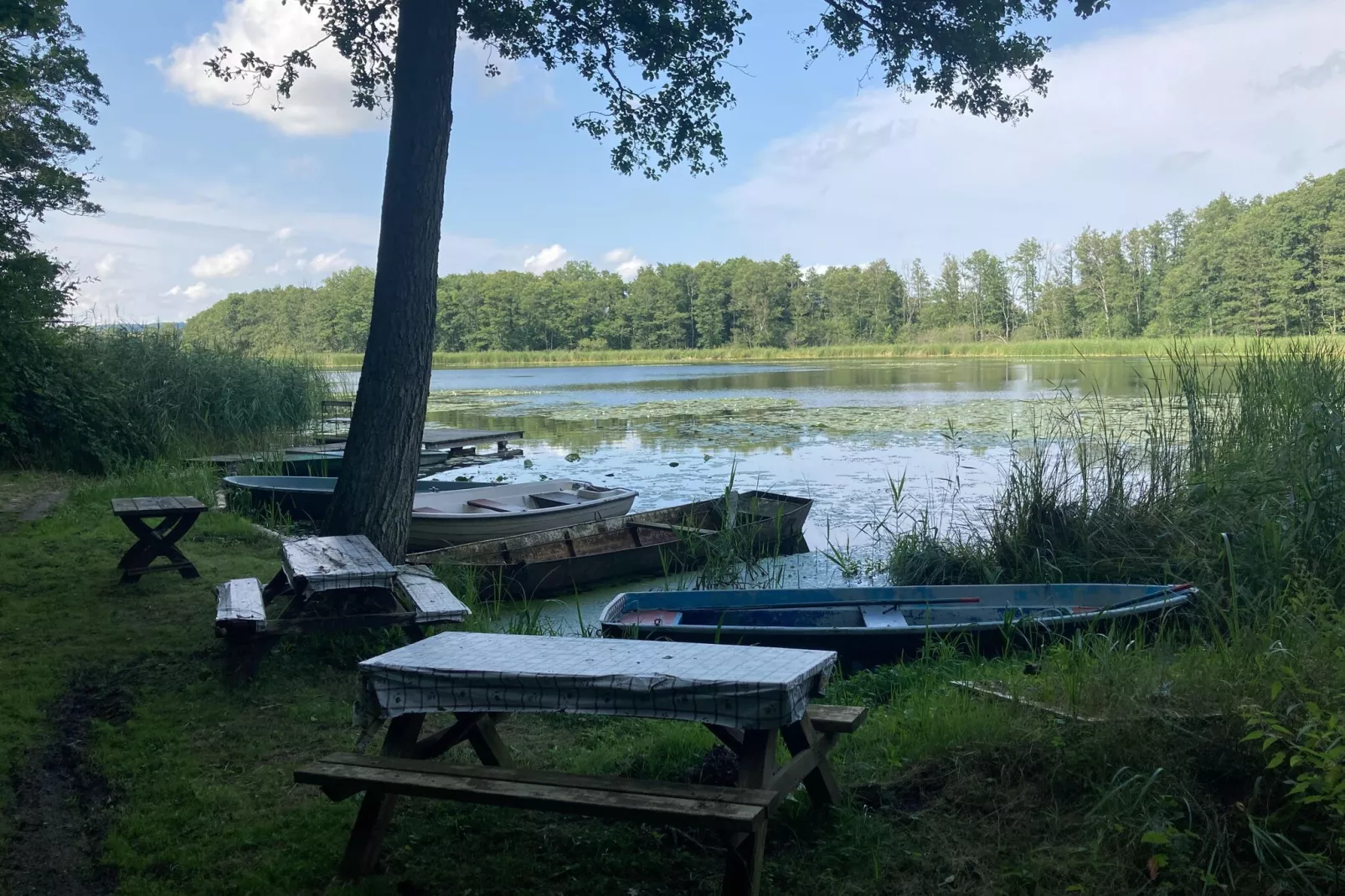 Wohnen im Gutshaus-Areas summer 1km