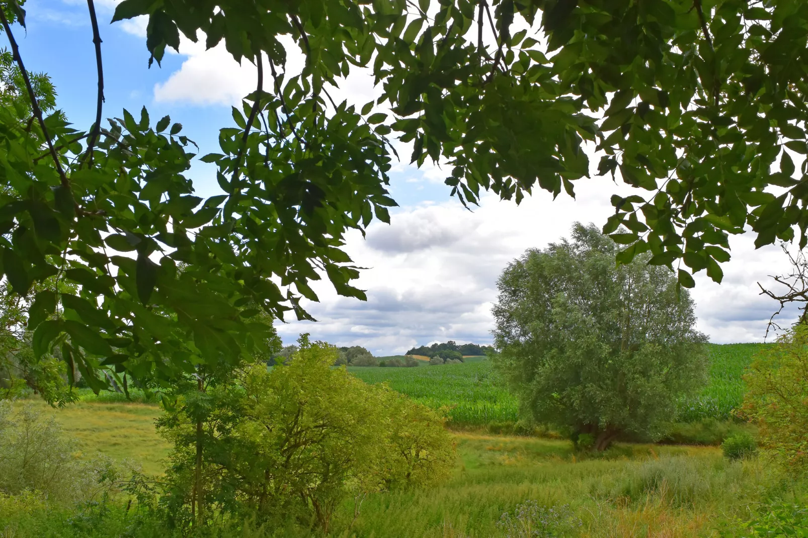 Wohnen im Gutshaus-Areas summer 1km