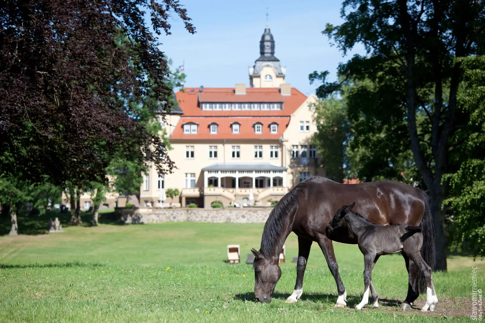 Haus Oliver 200 qm / 1-4 Personen-Areas summer 1km