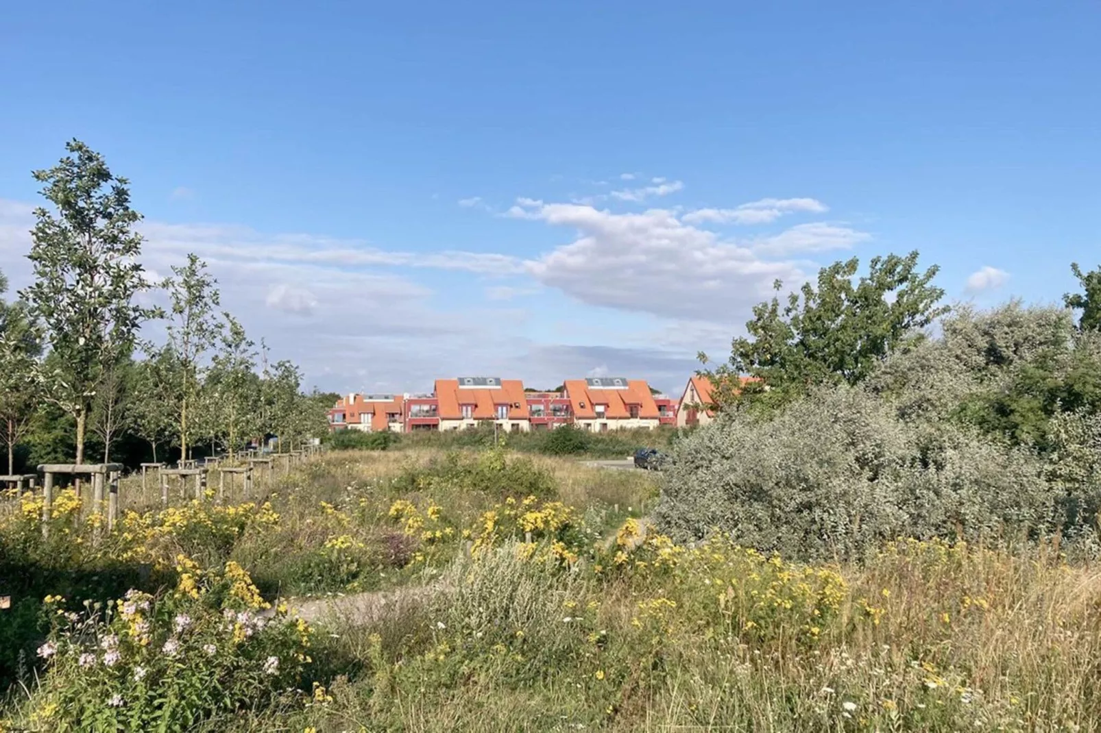 Bades Huk Hohenkirchen-1 Schlafzimmer-Gebiete Sommer 1 km