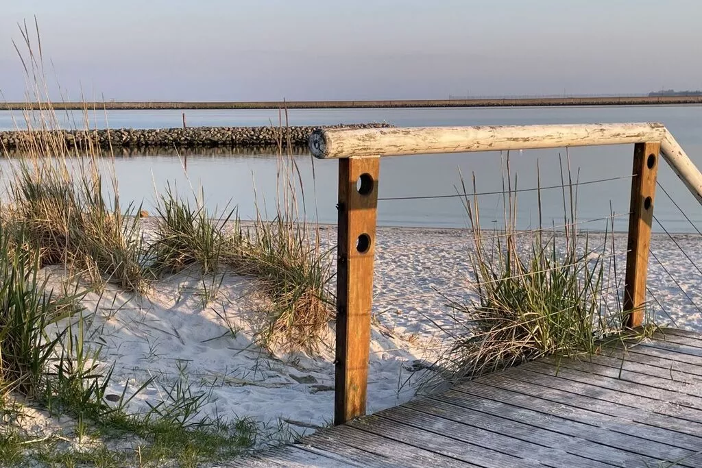 169762-Areas summer 5km