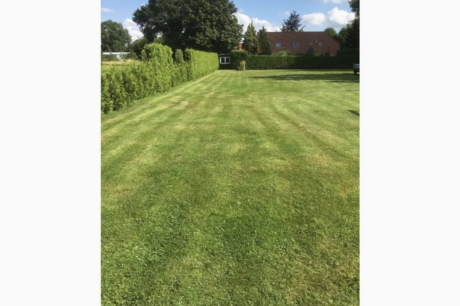 479922-Gardens summer