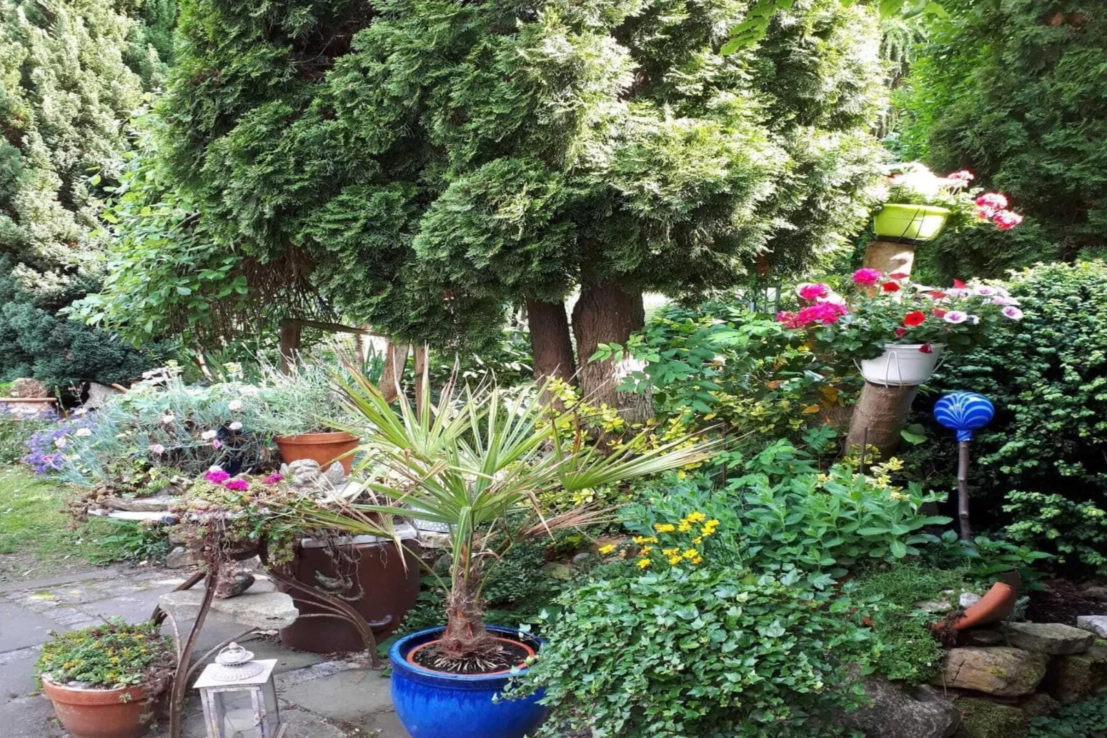 Ferienhaus Wernigerode-Gardens summer