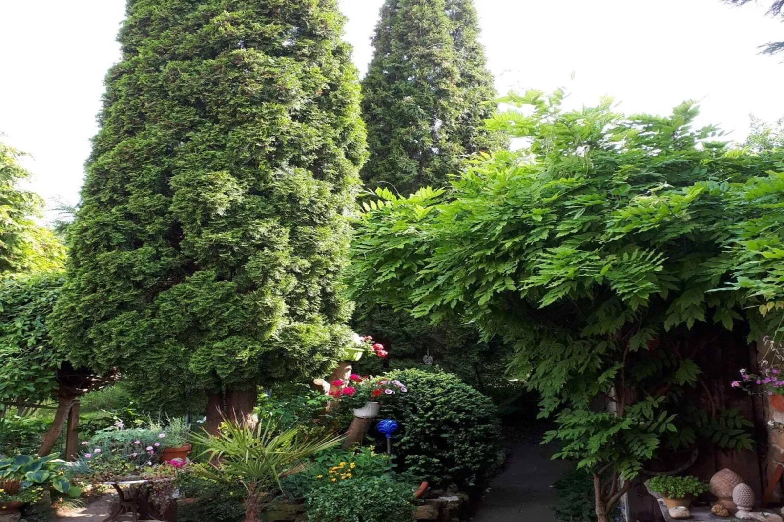 Ferienhaus Wernigerode-Gardens summer