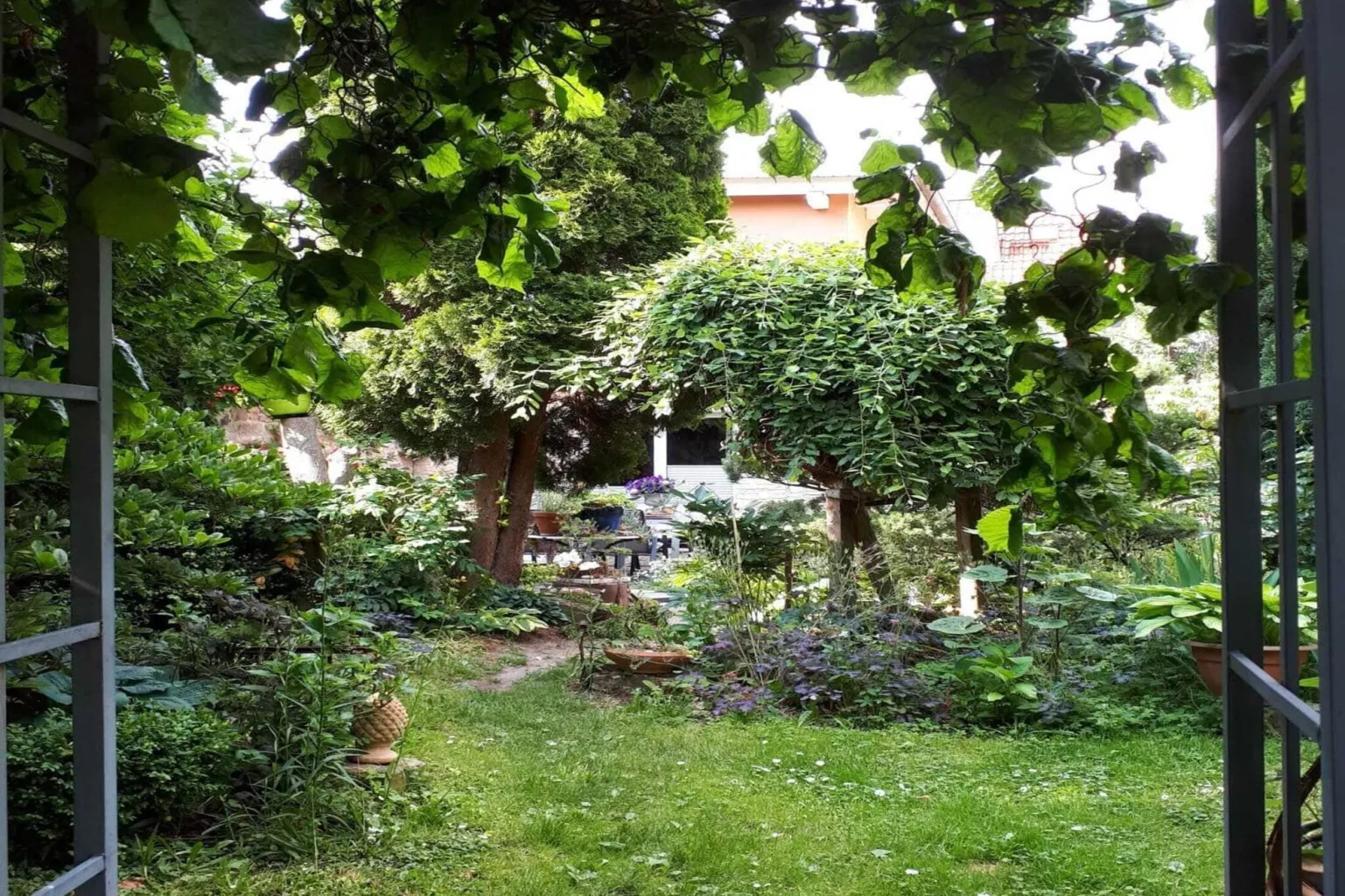 Ferienhaus Wernigerode-Gardens summer