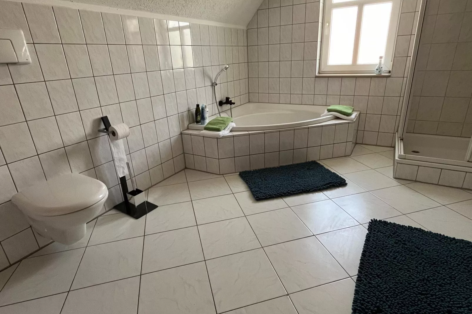 DG Ferienwohnung Elbingerode am Brocken-Bathroom