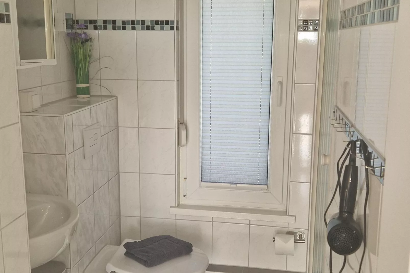 Meineckes Harzidyll Am Eichenberg II-Bathroom