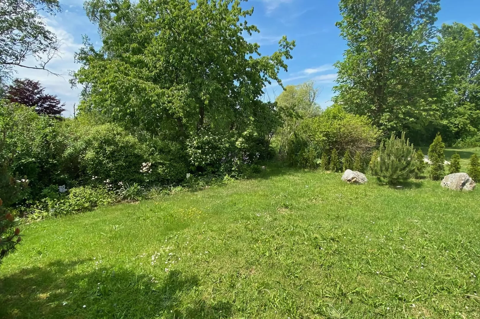 Ferienhaus in Hasselfelde - Haus 116 Auerhahn-Gardens summer