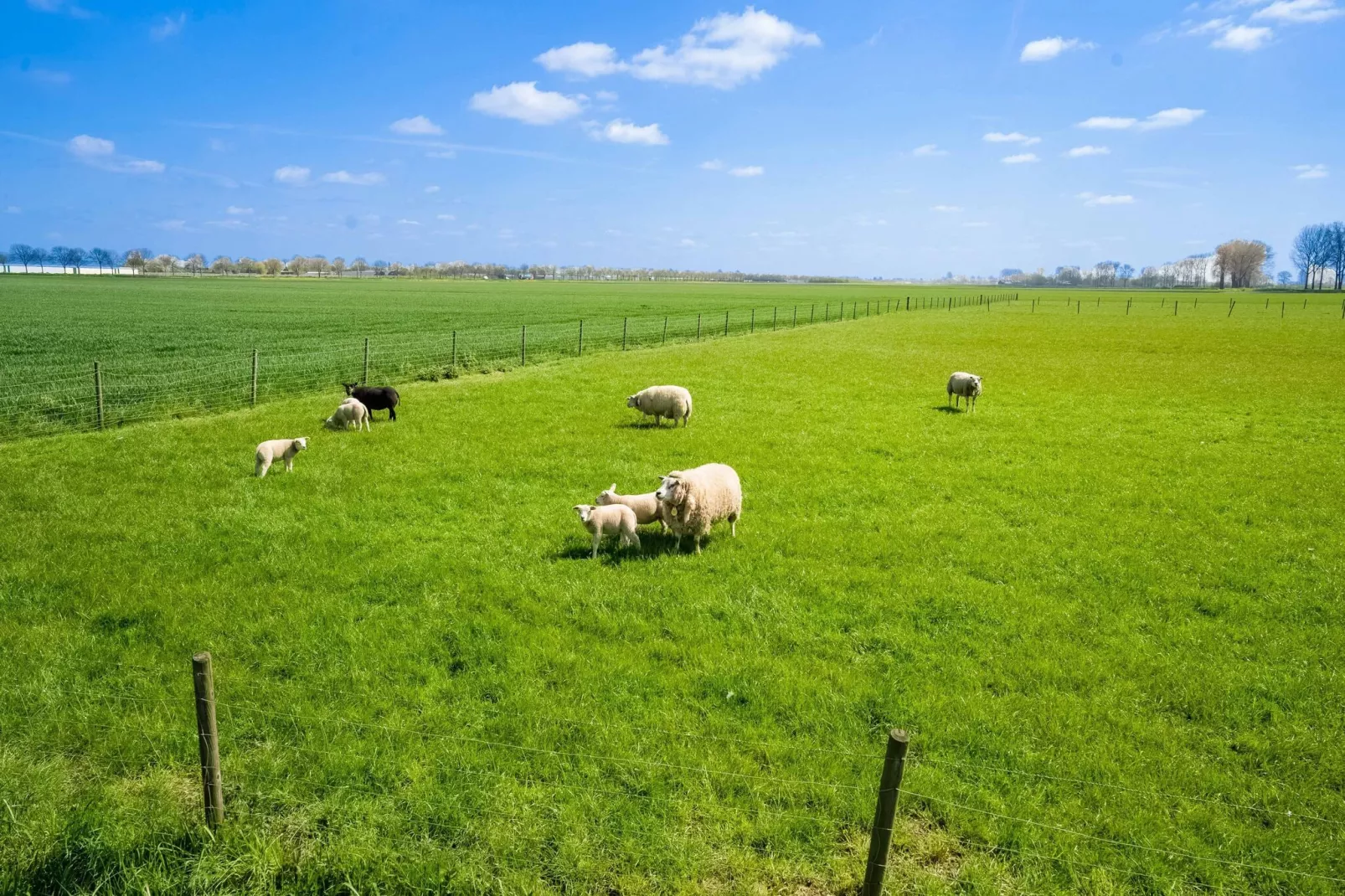 De Genderense Hoeve-View summer