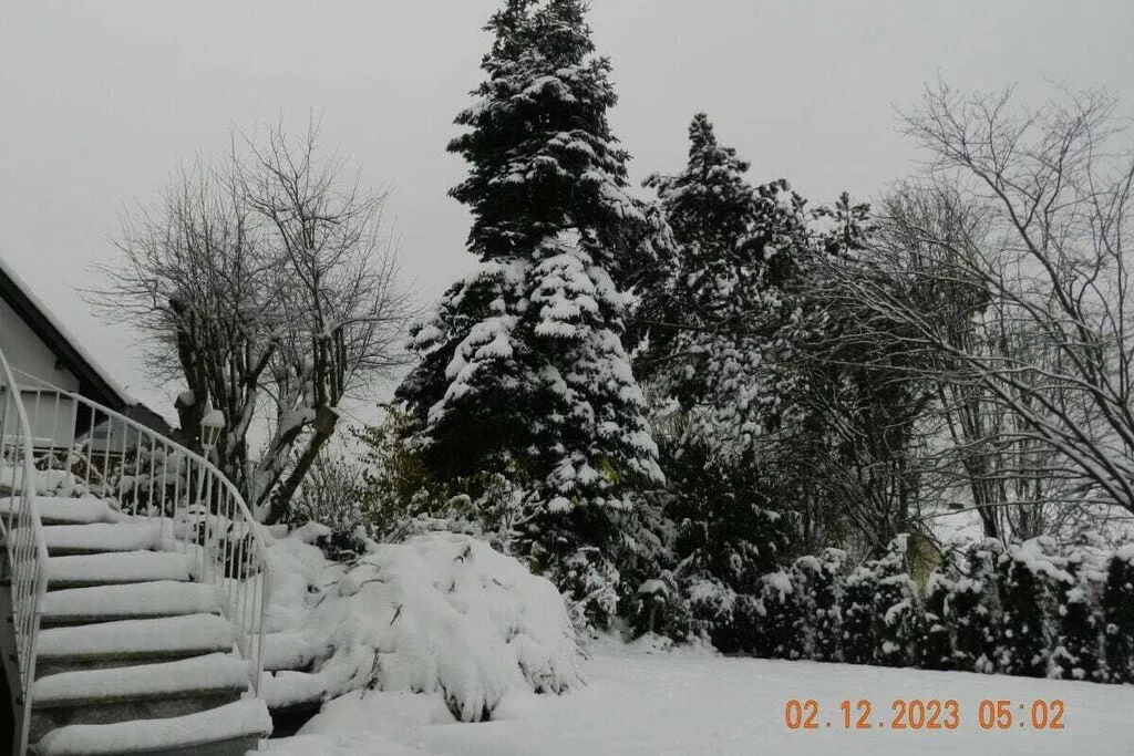 319988-Gebiet Winter 5 km