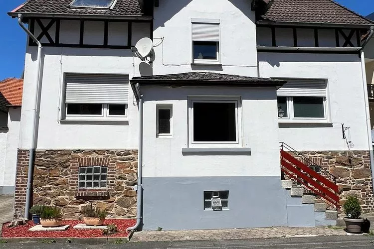 Ferienwohnung Sauerland-Exterior summer