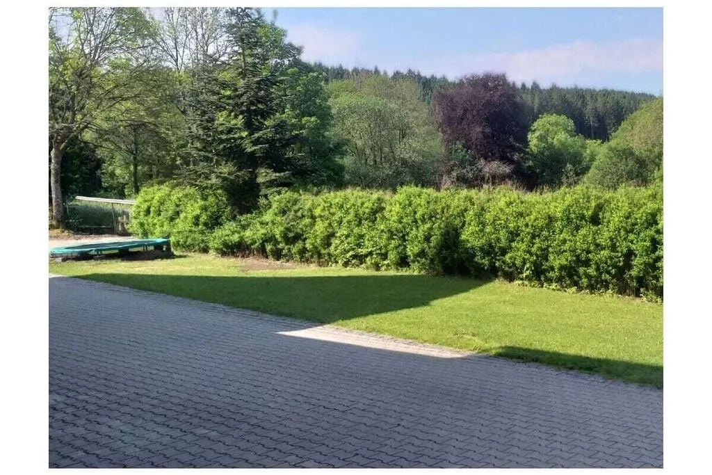 313634-Gardens summer