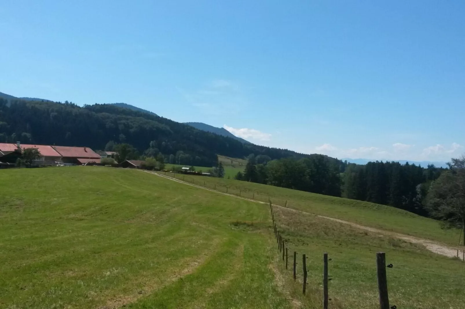 297552-Areas summer 1km