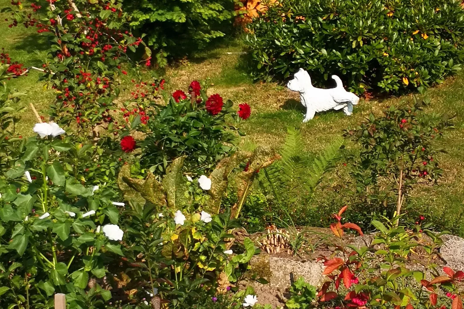 Hinternah-Gardens summer